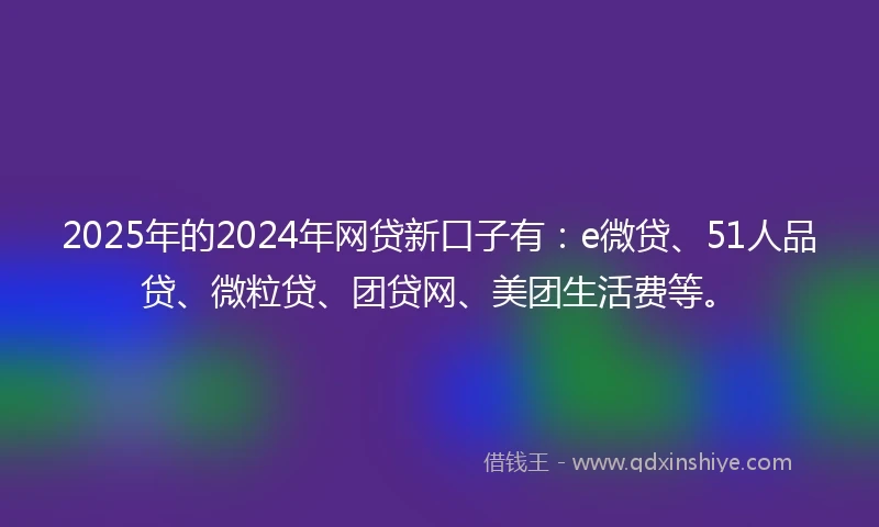 2025年的2024年网贷新口子有：e微贷、51人品贷、微粒贷、团贷网、美团生活费等。