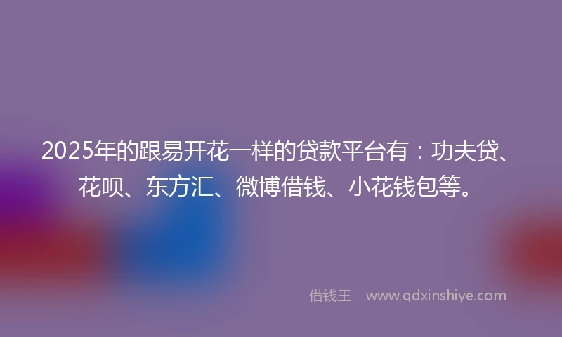 2025年的跟易开花一样的贷款平台有：功夫贷、花呗、东方汇、微博借钱、小花钱包等。