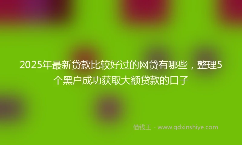 2025年最新贷款比较好过的网贷有哪些，整理5个黑户成功获取大额贷款的口子