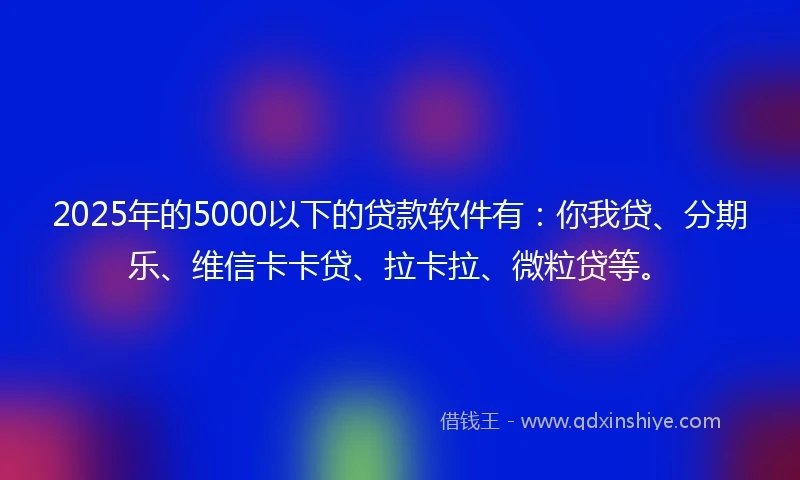 2025年的5000以下的贷款软件有：你我贷、分期乐、维信卡卡贷、拉卡拉、微粒贷等。