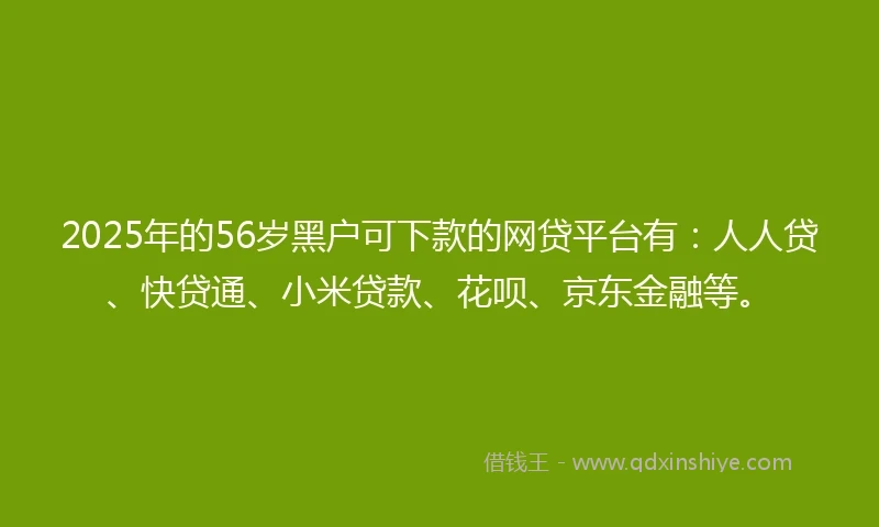 2025年的56岁黑户可下款的网贷平台有：人人贷、快贷通、小米贷款、花呗、京东金融等。