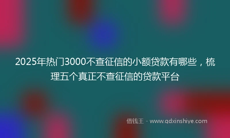 2025年热门3000不查征信的小额贷款有哪些，梳理五个真正不查征信的贷款平台