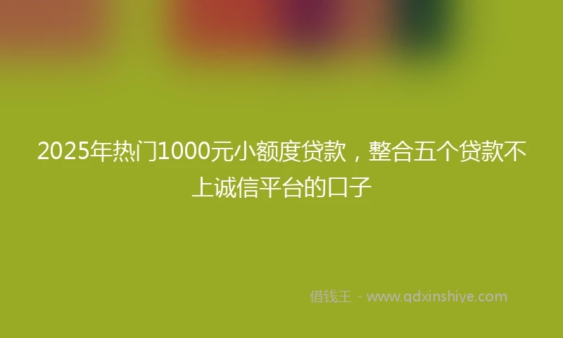 2025年热门1000元小额度贷款，整合五个贷款不上诚信平台的口子