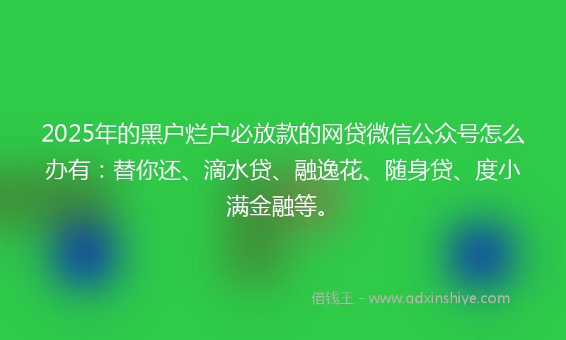 2025年的黑户烂户必放款的网贷微信公众号怎么办有：替你还、滴水贷、融逸花、随身贷、度小满金融等。