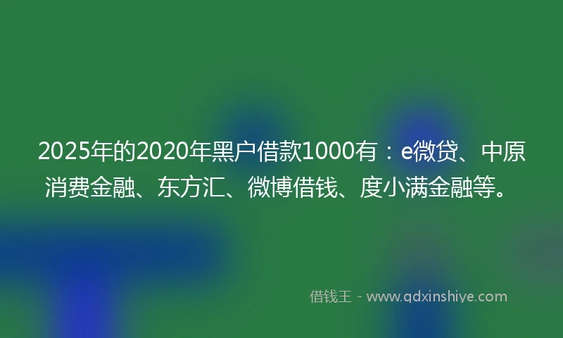 2025年的2020年黑户借款1000有：e微贷、中原消费金融、东方汇、微博借钱、度小满金融等。