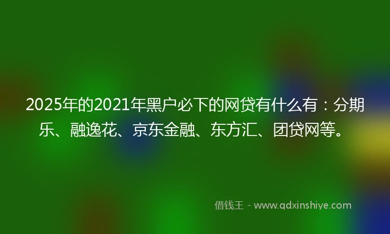 2025年的2021年黑户必下的网贷有什么有：分期乐、融逸花、京东金融、东方汇、团贷网等。