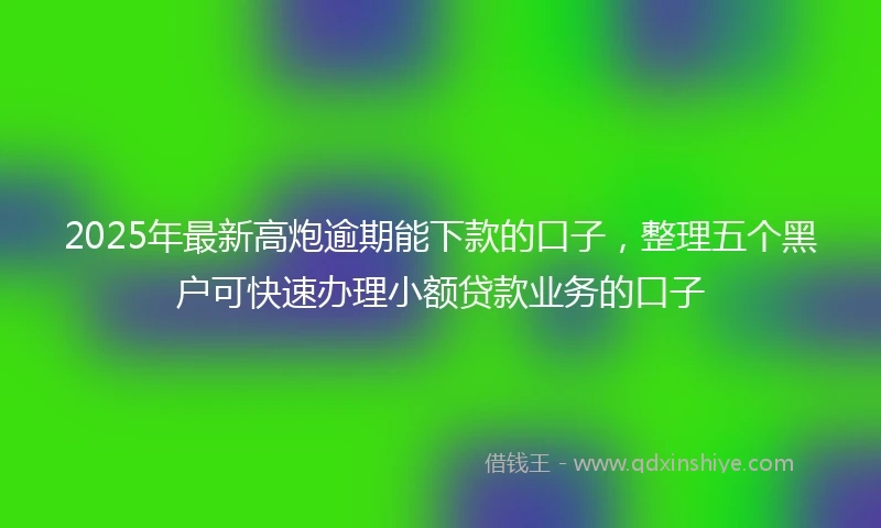 2025年最新高炮逾期能下款的口子，整理五个黑户可快速办理小额贷款业务的口子