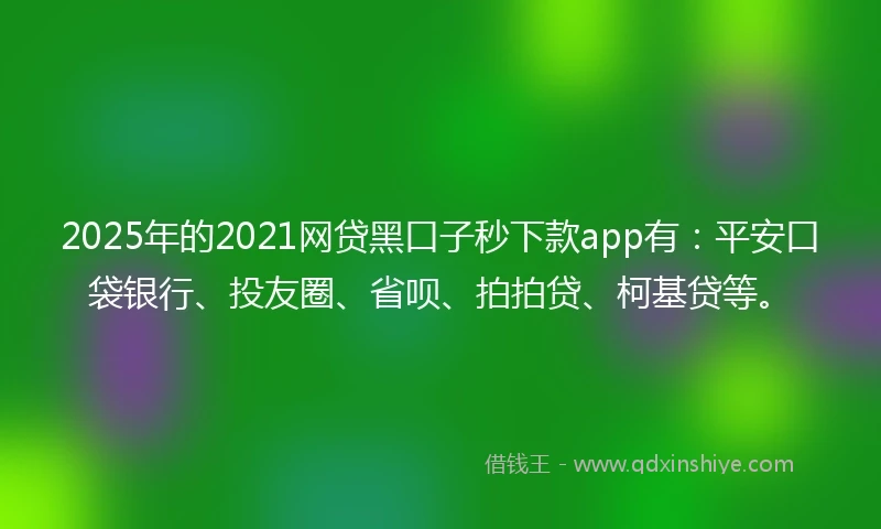 2025年的2021网贷黑口子秒下款app有：平安口袋银行、投友圈、省呗、拍拍贷、柯基贷等。