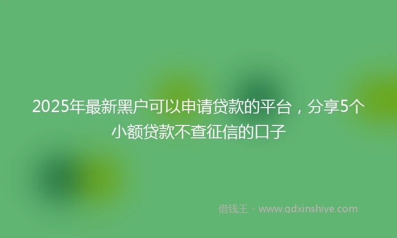 2025年最新黑户可以申请贷款的平台，分享5个小额贷款不查征信的口子