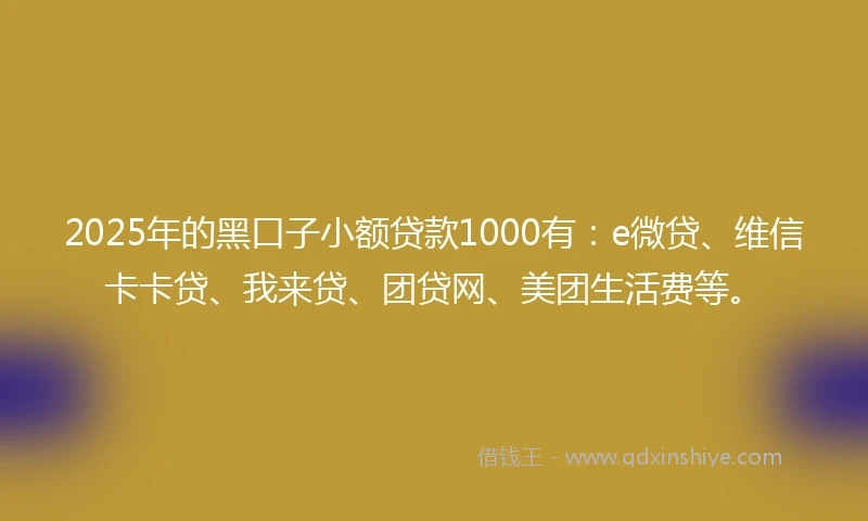 2025年的黑口子小额贷款1000有：e微贷、维信卡卡贷、我来贷、团贷网、美团生活费等。