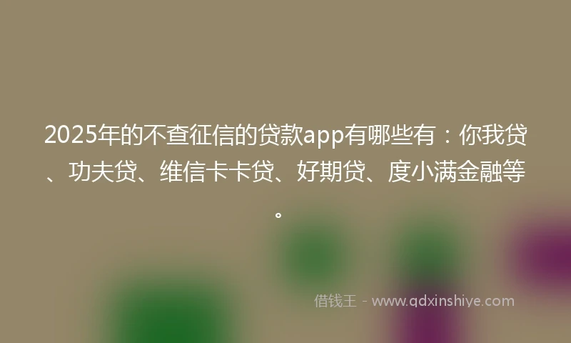 2025年的不查征信的贷款app有哪些有：你我贷、功夫贷、维信卡卡贷、好期贷、度小满金融等。