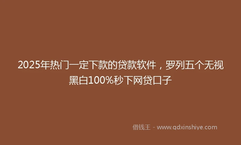 2025年热门一定下款的贷款软件，罗列五个无视黑白100%秒下网贷口子