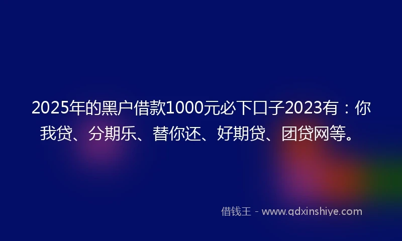 2025年的黑户借款1000元必下口子2023有：你我贷、分期乐、替你还、好期贷、团贷网等。