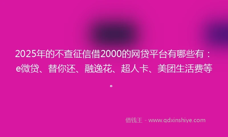 2025年的不查征信借2000的网贷平台有哪些有：e微贷、替你还、融逸花、超人卡、美团生活费等。