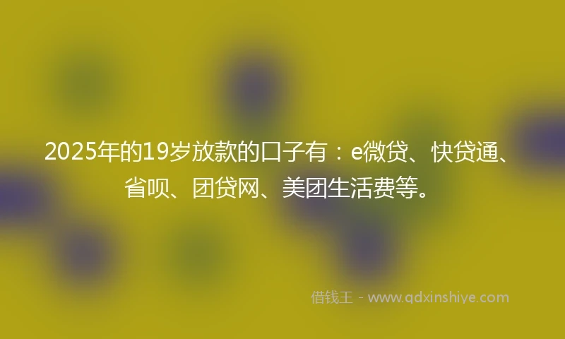 2025年的19岁放款的口子有：e微贷、快贷通、省呗、团贷网、美团生活费等。