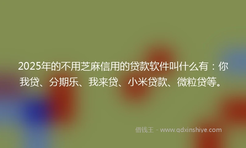 2025年的不用芝麻信用的贷款软件叫什么有：你我贷、分期乐、我来贷、小米贷款、微粒贷等。