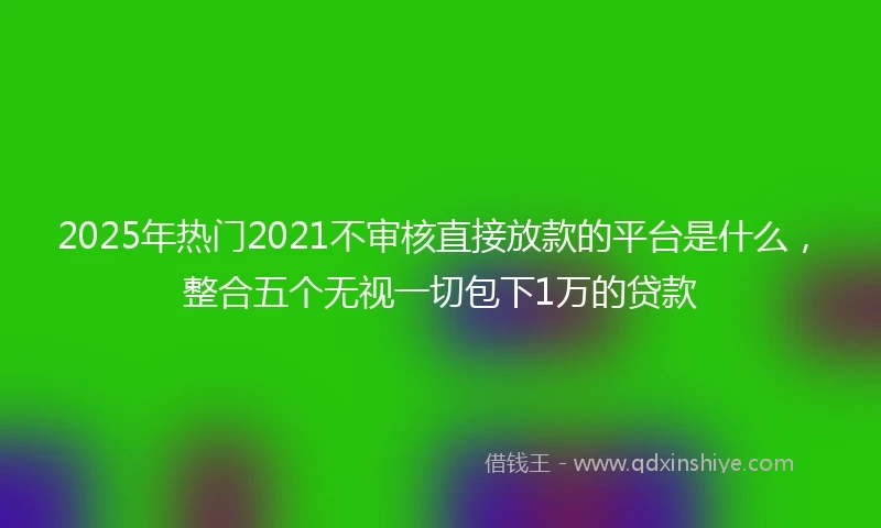 2025年热门2021不审核直接放款的平台是什么，整合五个无视一切包下1万的贷款