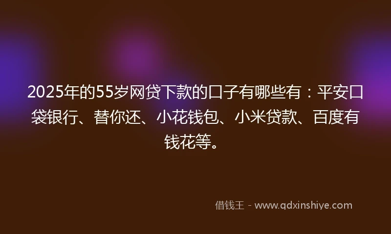 2025年的55岁网贷下款的口子有哪些有：平安口袋银行、替你还、小花钱包、小米贷款、百度有钱花等。