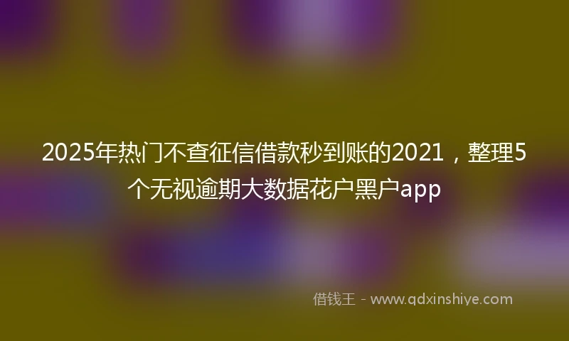 2025年热门不查征信借款秒到账的2021，整理5个无视逾期大数据花户黑户app