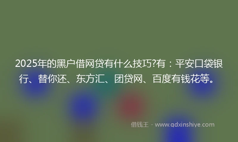 2025年的黑户借网贷有什么技巧?有：平安口袋银行、替你还、东方汇、团贷网、百度有钱花等。