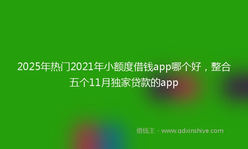 2025年热门2021年小额度借钱app哪个好，整合五个11月独家贷款的app
