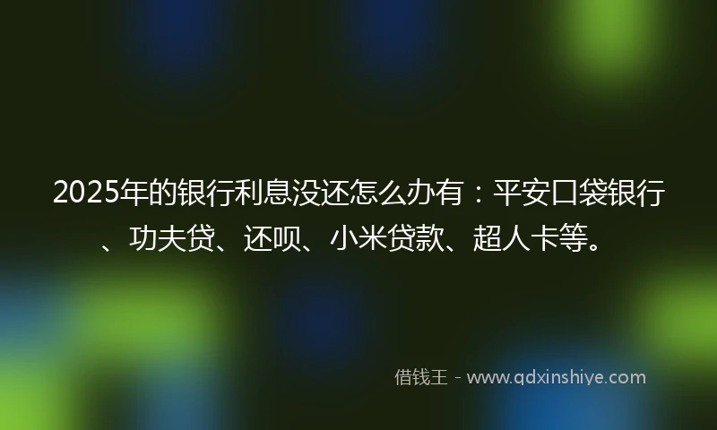 2025年的银行利息没还怎么办有：平安口袋银行、功夫贷、还呗、小米贷款、超人卡等。