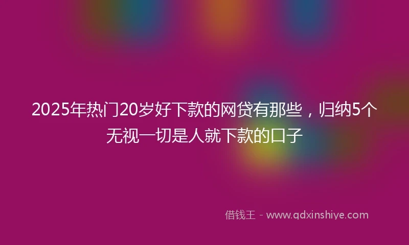 2025年热门20岁好下款的网贷有那些，归纳5个无视一切是人就下款的口子