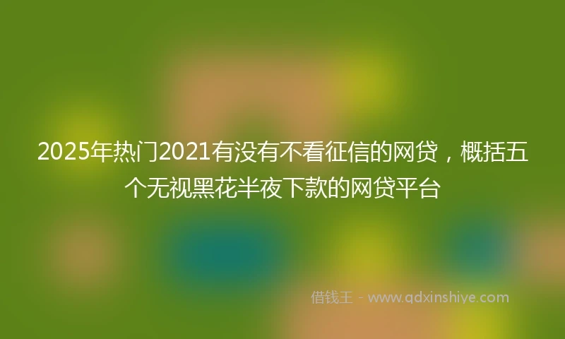 2025年热门2021有没有不看征信的网贷，概括五个无视黑花半夜下款的网贷平台