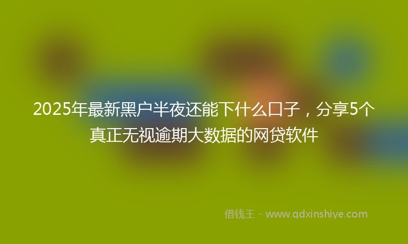 2025年最新黑户半夜还能下什么口子，分享5个真正无视逾期大数据的网贷软件
