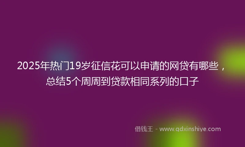 2025年热门19岁征信花可以申请的网贷有哪些，总结5个周周到贷款相同系列的口子
