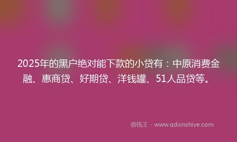 2025年的黑户绝对能下款的小贷有：中原消费金融、惠商贷、好期贷、洋钱罐、51人品贷等。
