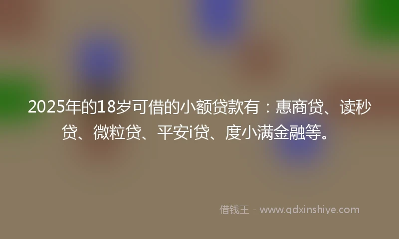 2025年的18岁可借的小额贷款有：惠商贷、读秒贷、微粒贷、平安i贷、度小满金融等。