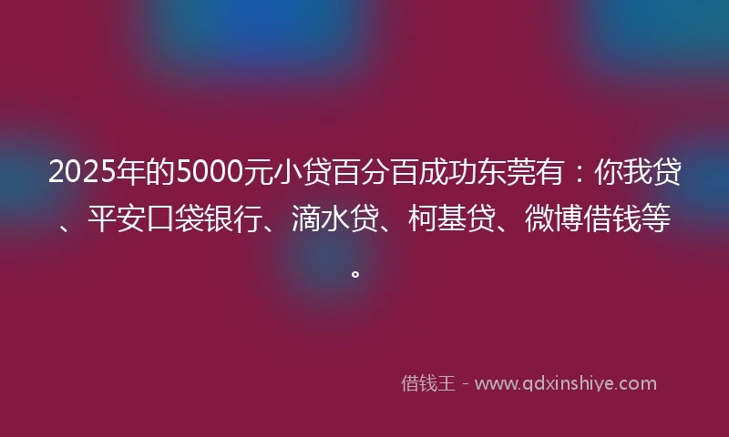2025年的5000元小贷百分百成功东莞有：你我贷、平安口袋银行、滴水贷、柯基贷、微博借钱等。