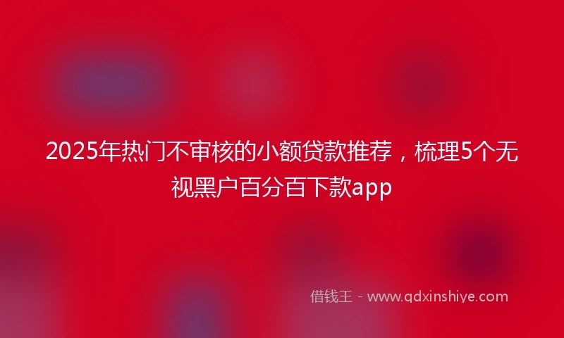 2025年热门不审核的小额贷款推荐，梳理5个无视黑户百分百下款app