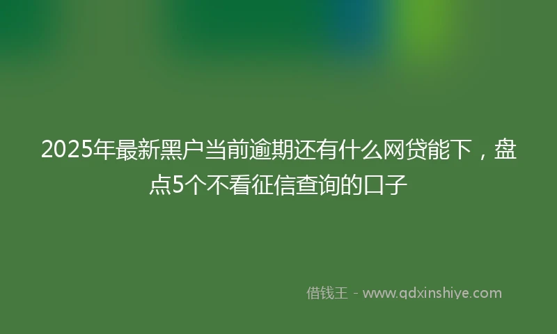 2025年最新黑户当前逾期还有什么网贷能下，盘点5个不看征信查询的口子