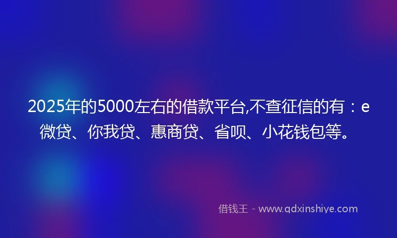 2025年的5000左右的借款平台,不查征信的有：e微贷、你我贷、惠商贷、省呗、小花钱包等。