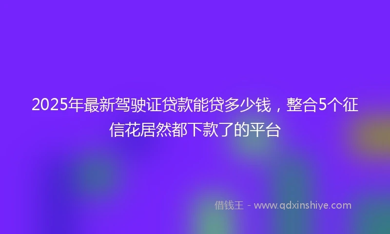 2025年最新驾驶证贷款能贷多少钱，整合5个征信花居然都下款了的平台