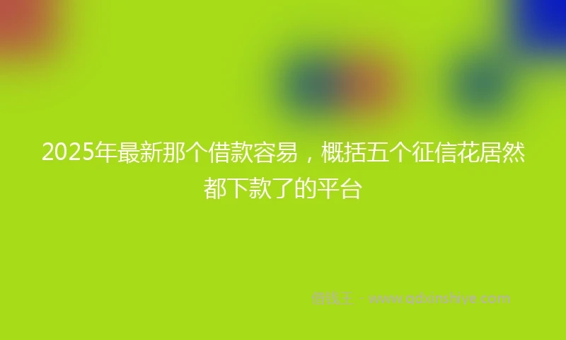 2025年最新那个借款容易，概括五个征信花居然都下款了的平台