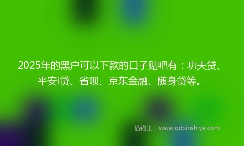 2025年的黑户可以下款的口子贴吧有：功夫贷、平安i贷、省呗、京东金融、随身贷等。