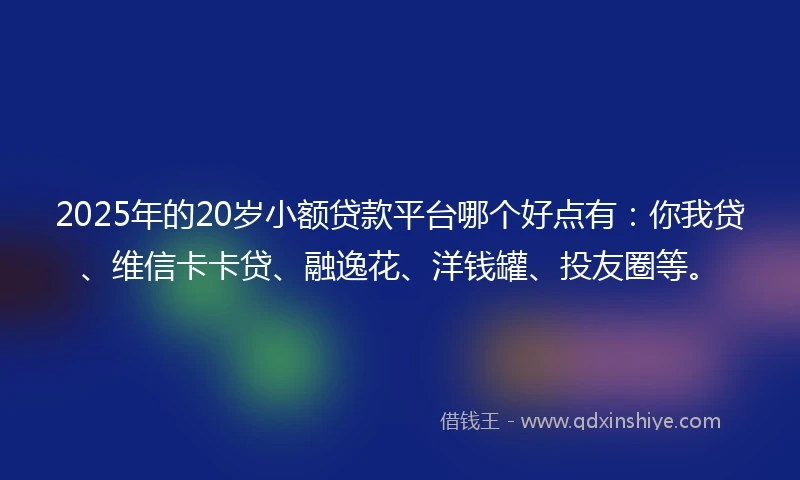 2025年的20岁小额贷款平台哪个好点有：你我贷、维信卡卡贷、融逸花、洋钱罐、投友圈等。