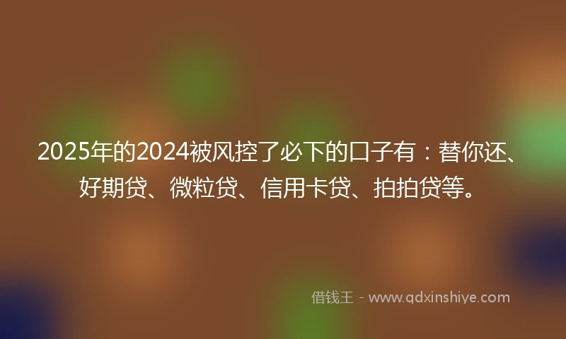 2025年的2024被风控了必下的口子有：替你还、好期贷、微粒贷、信用卡贷、拍拍贷等。