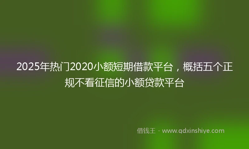 2025年热门2020小额短期借款平台，概括五个正规不看征信的小额贷款平台