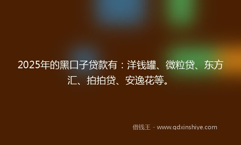 2025年的黑口子贷款有：洋钱罐、微粒贷、东方汇、拍拍贷、安逸花等。