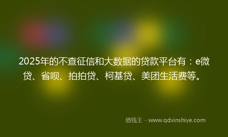 2025年的不查征信和大数据的贷款平台有：e微贷、省呗、拍拍贷、柯基贷、美团生活费等。