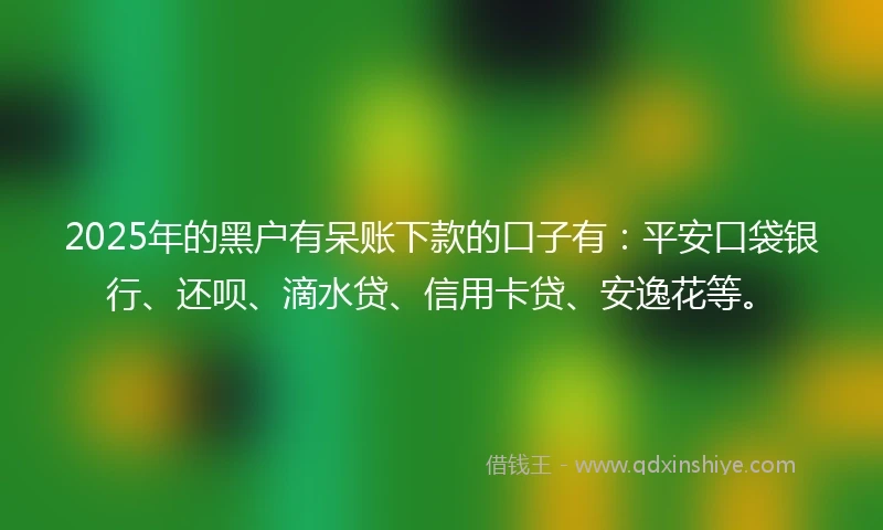 2025年的黑户有呆账下款的口子有：平安口袋银行、还呗、滴水贷、信用卡贷、安逸花等。