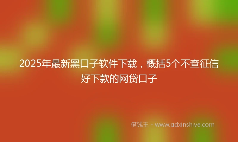 2025年最新黑口子软件下载，概括5个不查征信好下款的网贷口子
