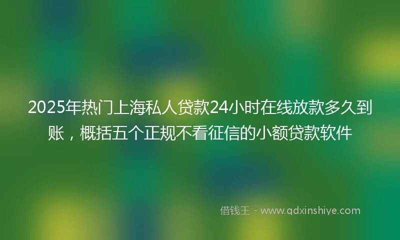 2025年热门上海私人贷款24小时在线放款多久到账，概括五个正规不看征信的小额贷款软件