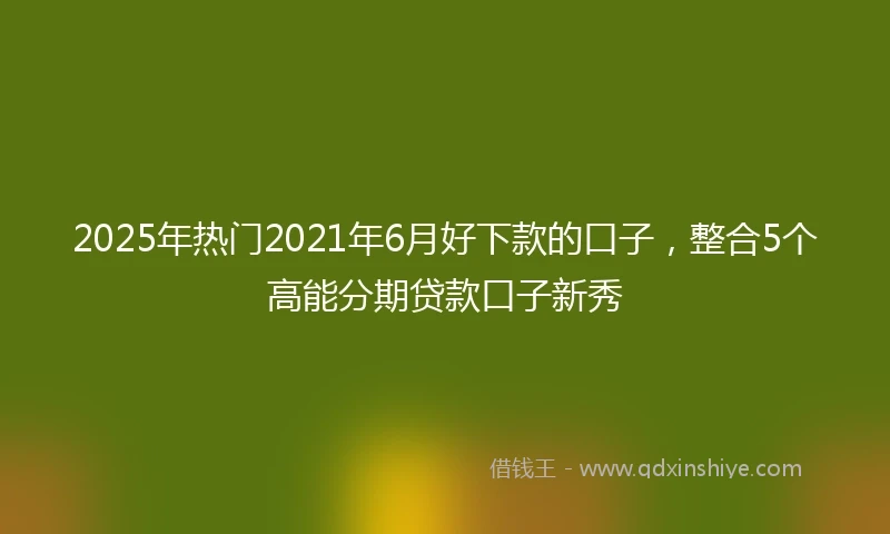 2025年热门2021年6月好下款的口子，整合5个高能分期贷款口子新秀