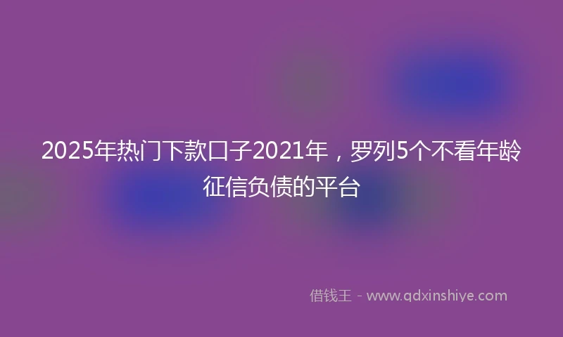 2025年热门下款口子2021年，罗列5个不看年龄征信负债的平台