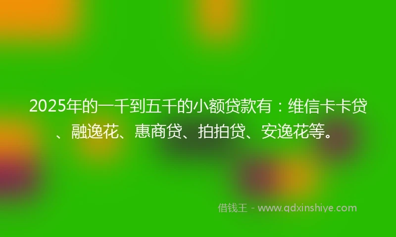 2025年的一千到五千的小额贷款有：维信卡卡贷、融逸花、惠商贷、拍拍贷、安逸花等。